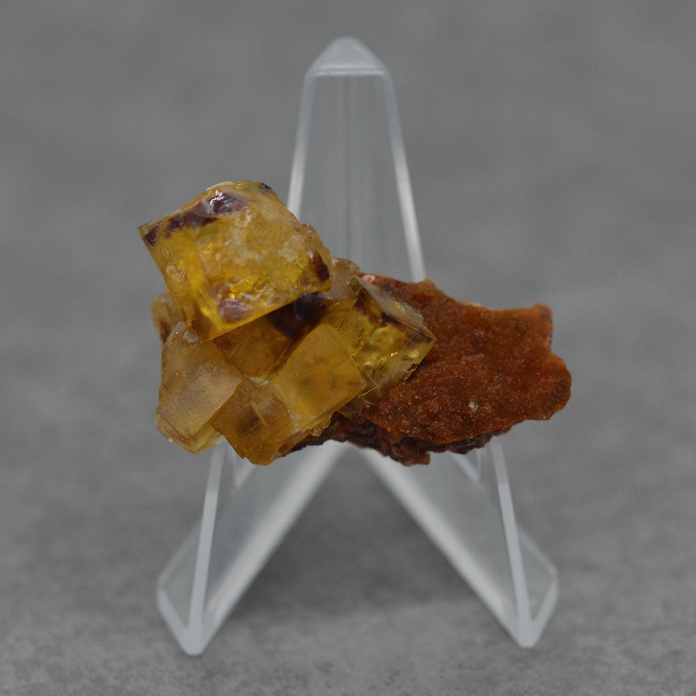 Cubes zonés de fluorite jaune sur gangue 22g sur présentoir
