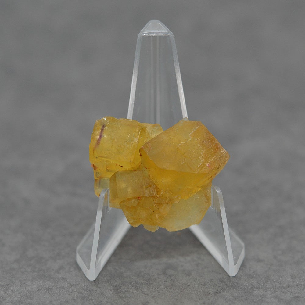 Fluorine jaune sur présentoir de 15g