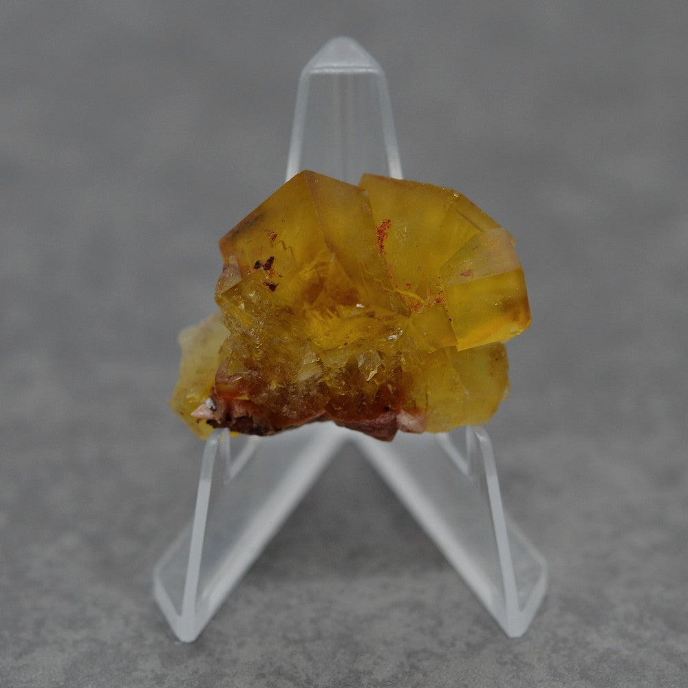 Fluorine marocaine jaune miel de 25g sur présentoir