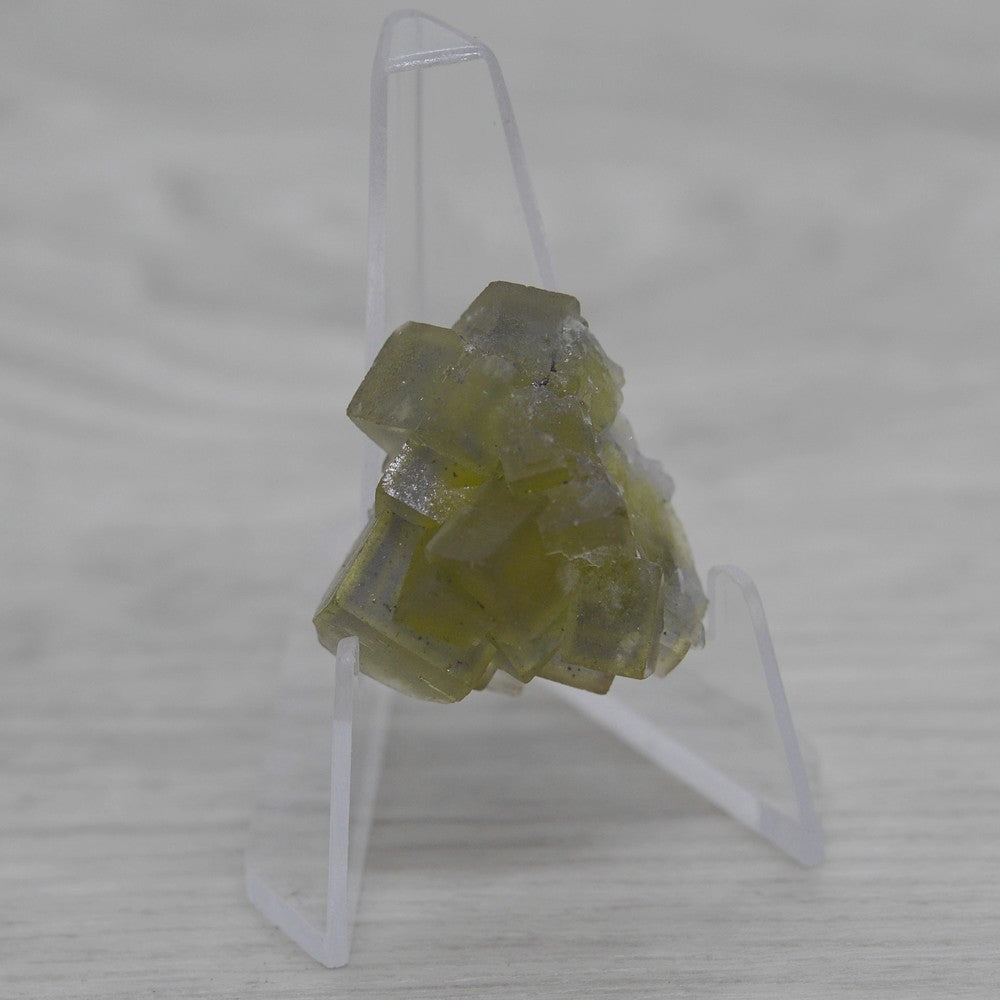Fluorite jaune zonée sur présentoir de 16g