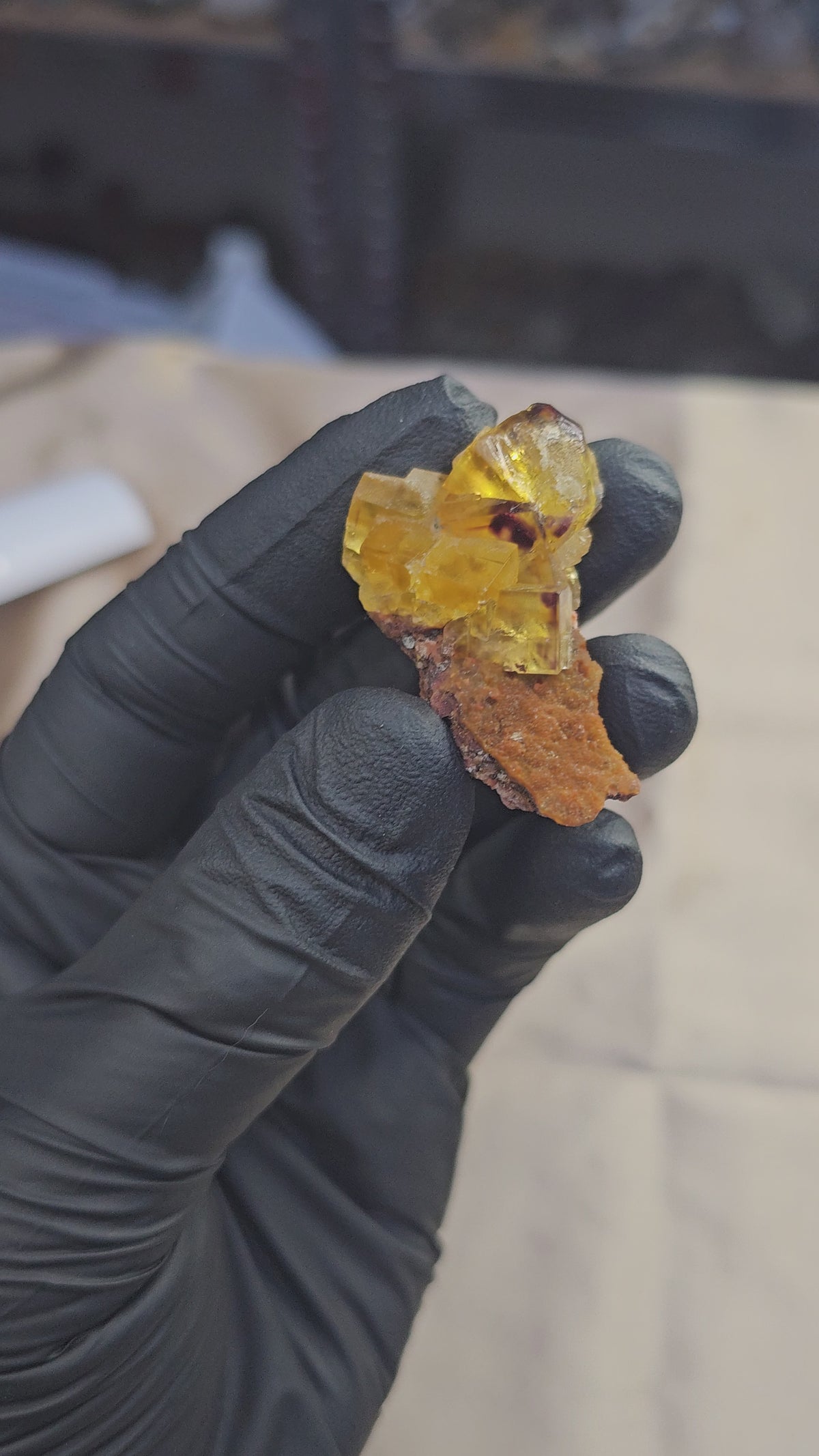 Fluorite jaune en cubes sur microcristaux rouges scintillants d'Aouli au Maroc 22g