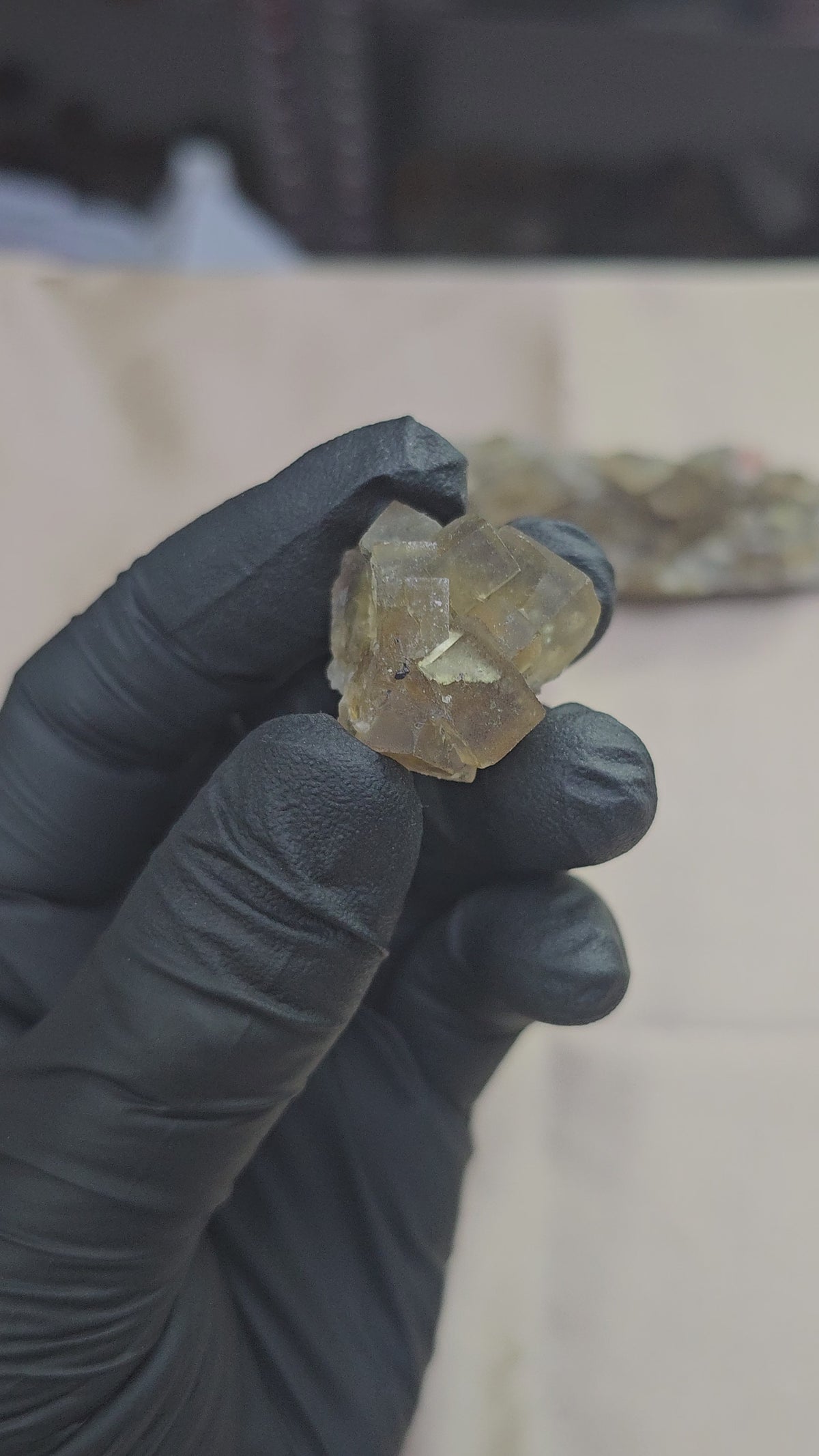 Fluorite jaune maclée et zonée d'un joli bleu translucide sous lumière en provenance du Maroc de 16g