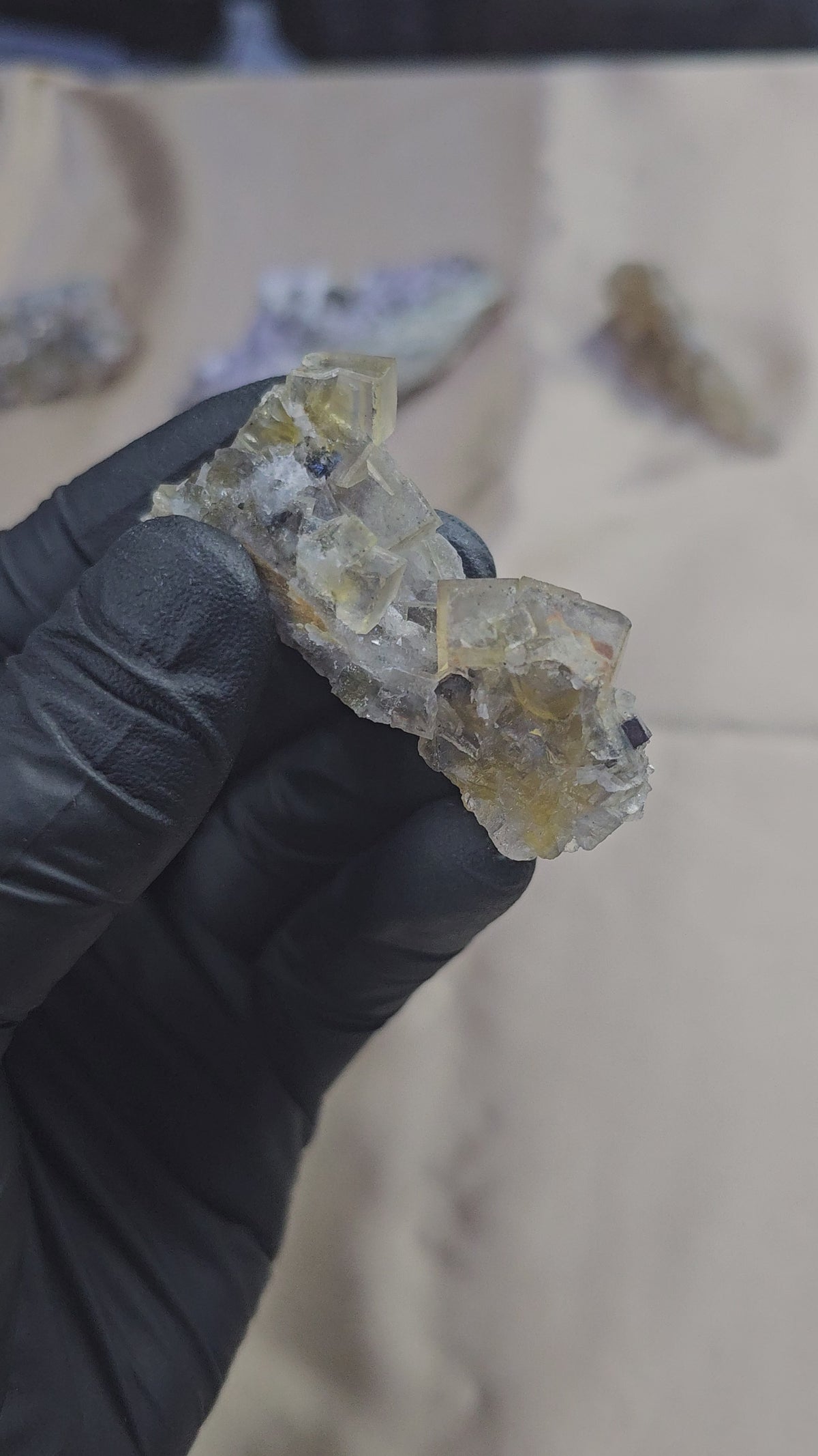 Fluorite miel maclée à zonage bleu avec galène de 28g du Maroc - Vue du dessus et en 360°